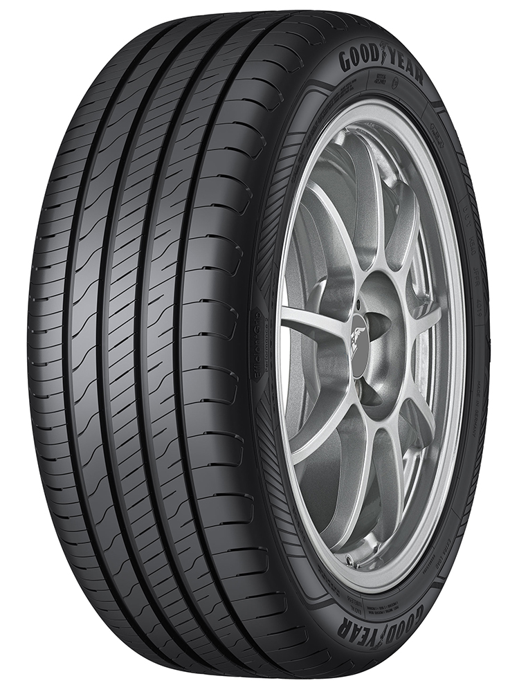 GOODYEAR EfficientGrip Performance 2 205/55 R16 91V // DOT 2022.