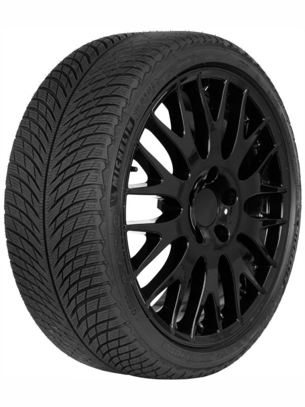 MICHELIN PILOT ALPIN 5 295/30 R19 100 W