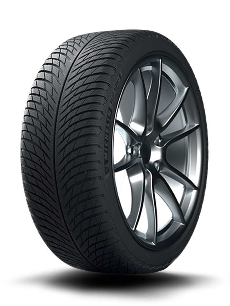 MICHELIN Pilot Alpin 5 245/55 R17 102V